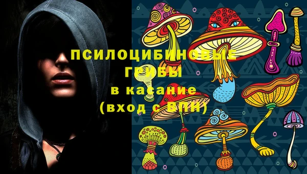 герыч Бородино