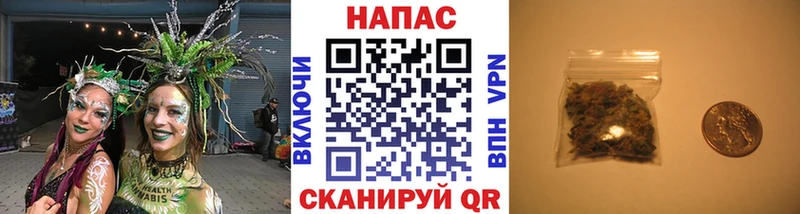 как найти наркотики  Духовщина  Каннабис THC 21% 